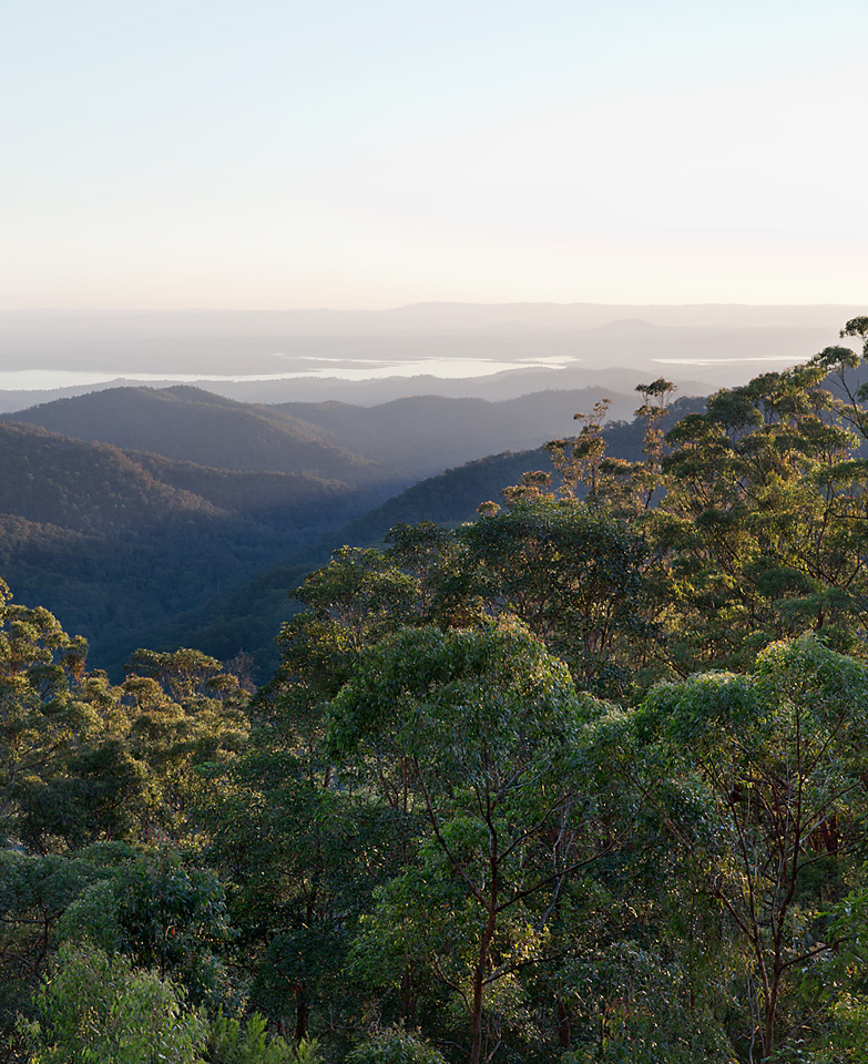 avoiding the Brisbane traffic&nbsp;jam…